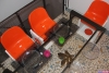 unusual-hotel-