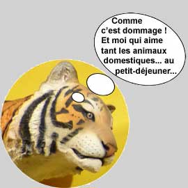 Tigre